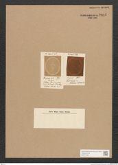 Diatomeae indet. Zeichnungen Sammlung Grunow Nr. 3805 (NHMW-BOT-W0371483)